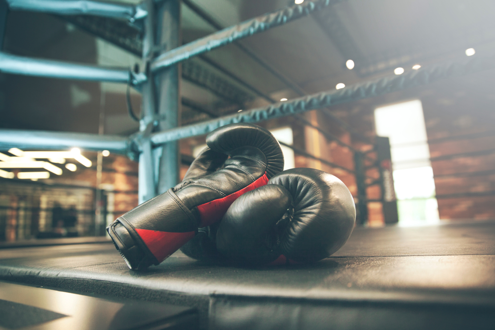 Read more about the article The 6 Essential Gear You Need to Kickstart Your Boxing Journey